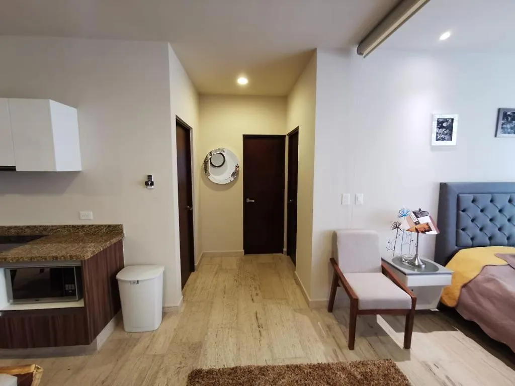 Departamento Con Jacuzzi En Playa Del Carmen Apartment